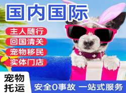 黄花航空快运国际宠物托运 【国
